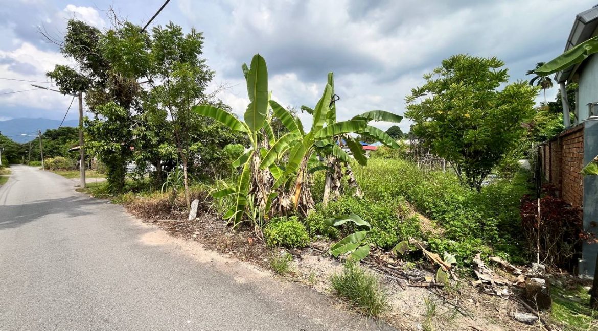 tanah taiping puan yana15