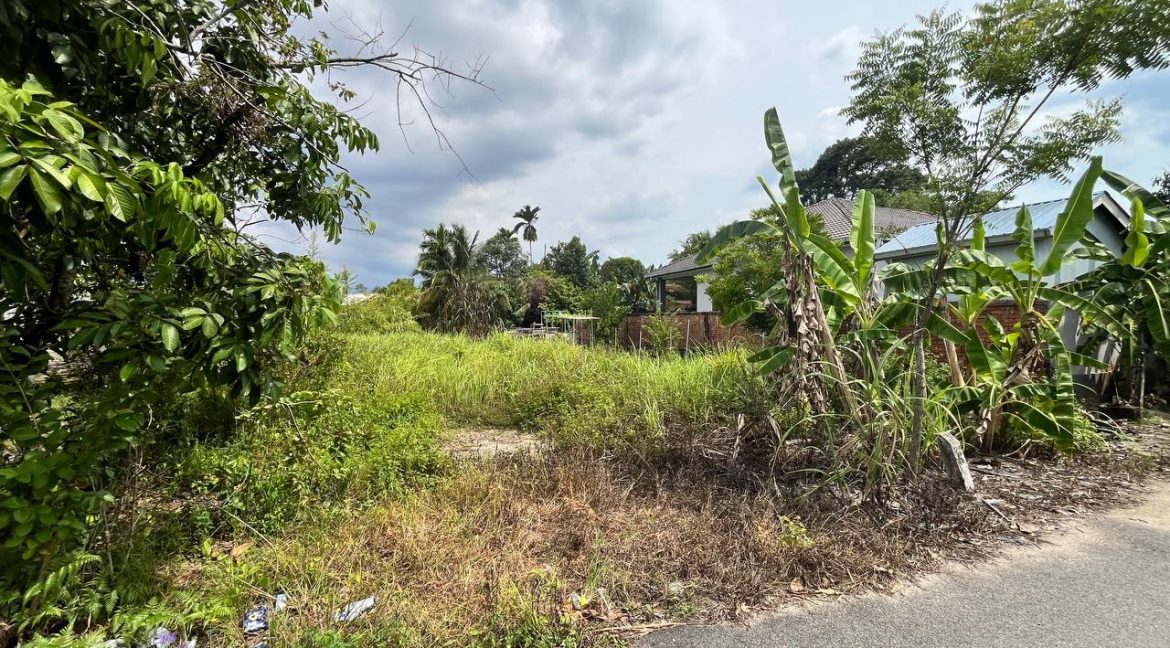 tanah taiping puan yana18