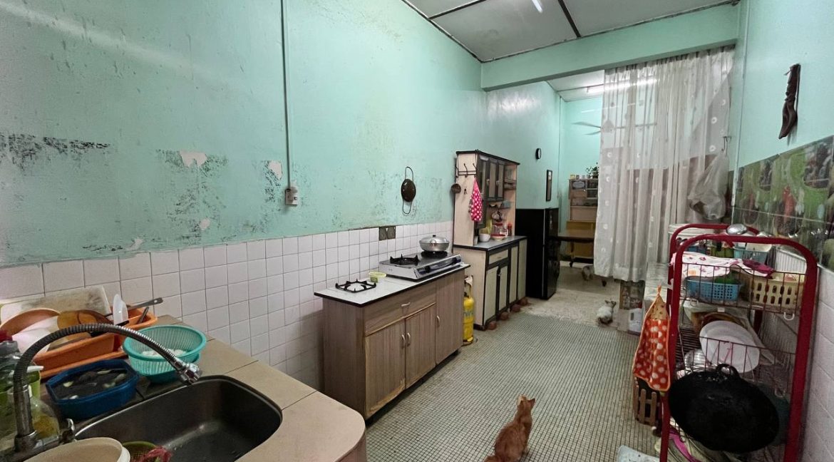 taman silibin anasharta8