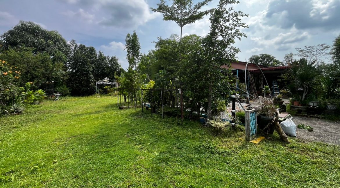 banglo kg assam kumbang3